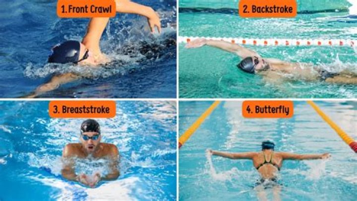 What is the most efficient swim stroke?