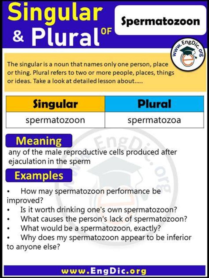 What is the plural of zoo?