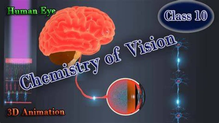 What is Vision made of?
