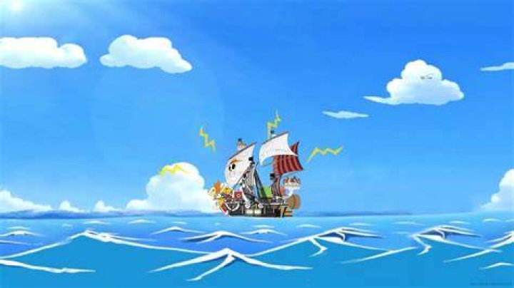 What kind of ship is the Thousand Sunny?
