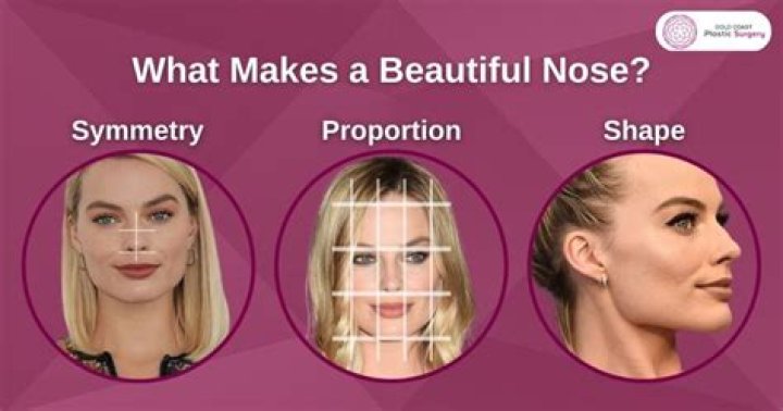 What makes a nose pretty?