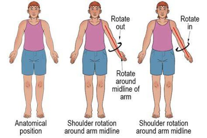 What movement is used to rotate the muscles?