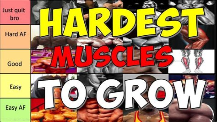 What muscle is hardest to grow?