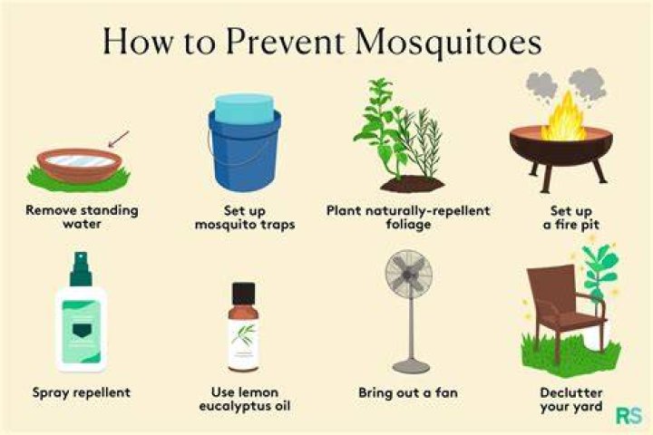 What scent keeps mosquitoes away?