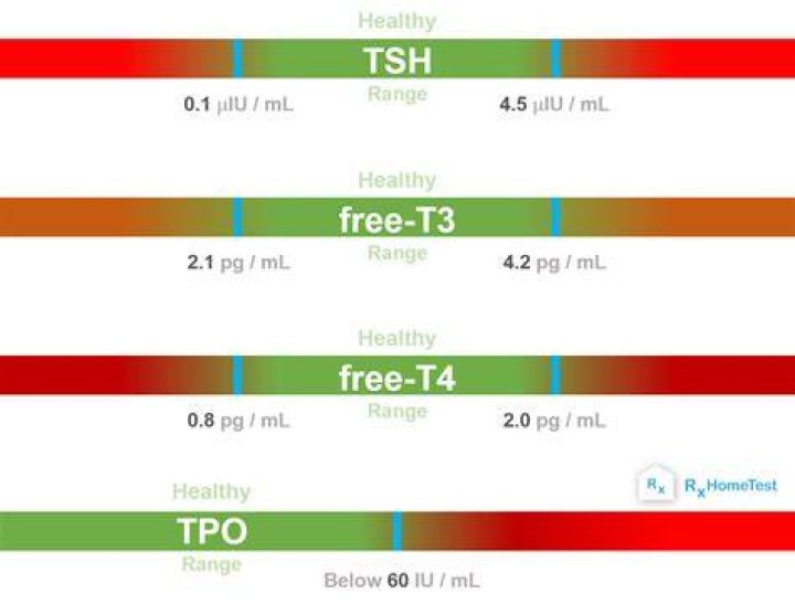 What should my TSH level be on levothyroxine?