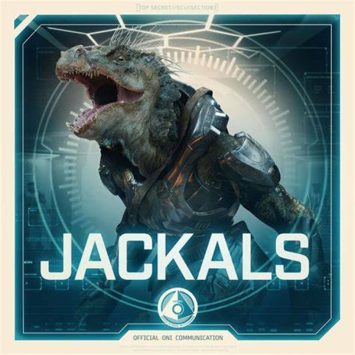 What species are jackals Halo?
