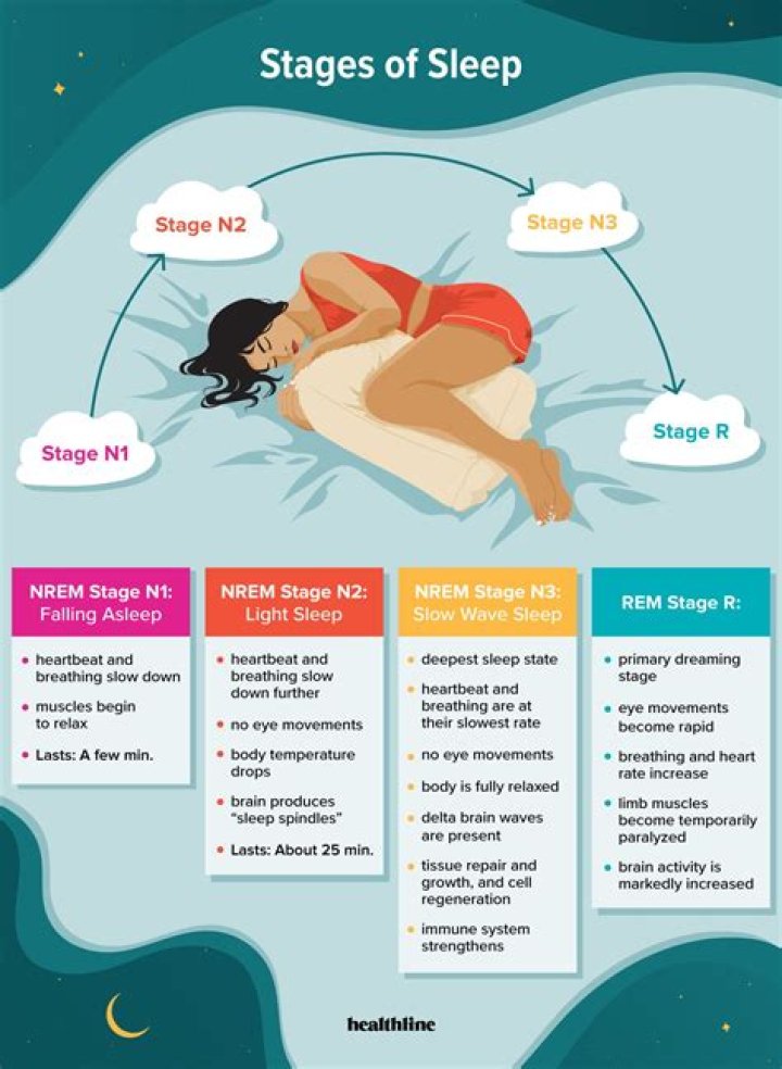 What stage of sleep should you be in the longest?