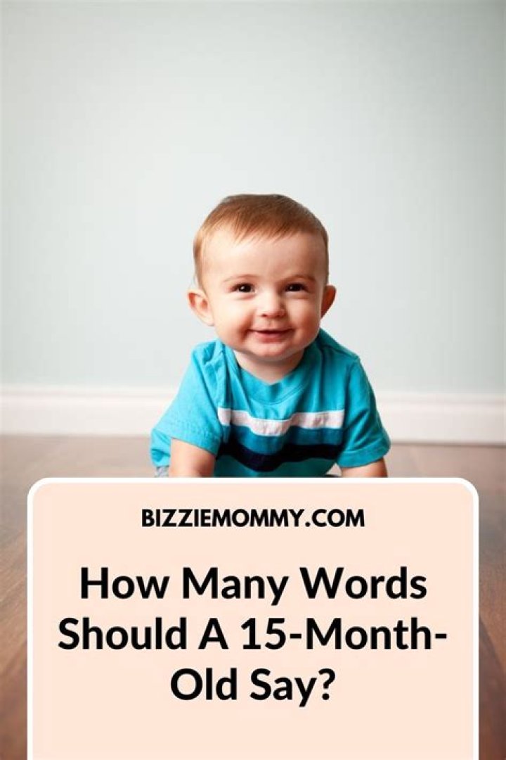 What words should a 15 month be saying?