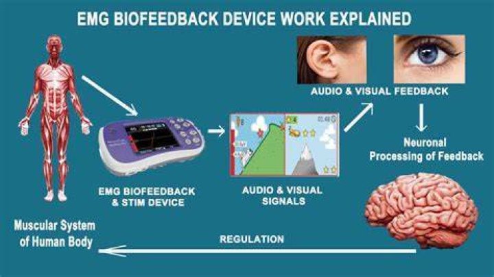 Whats the difference between EMG and EEG?