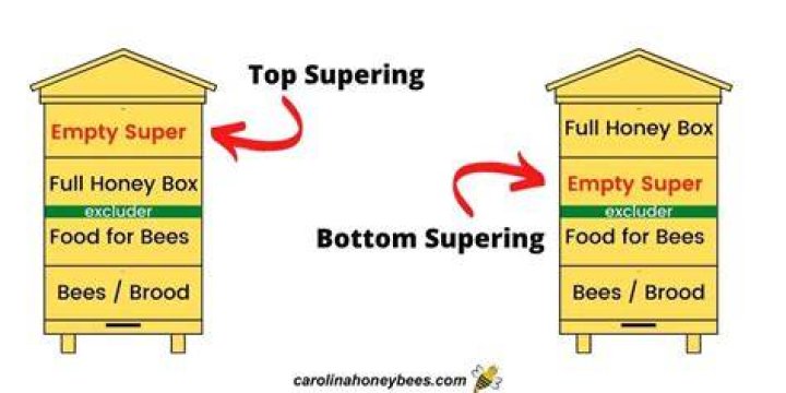 When should I put honey supers on?