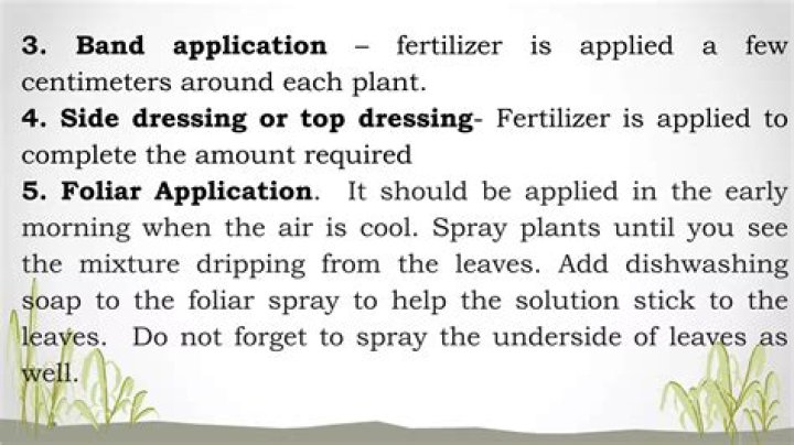 When should you not foliar spray?