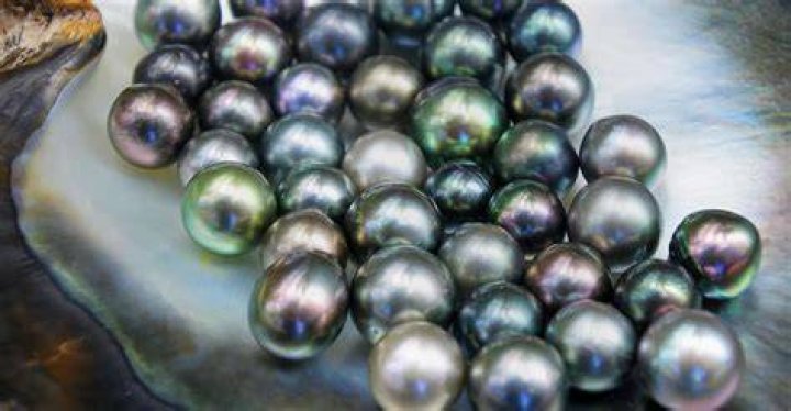 Where do black pearls come from?