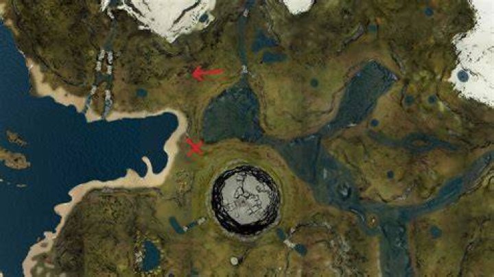 Where is Cave 7 in the forest?