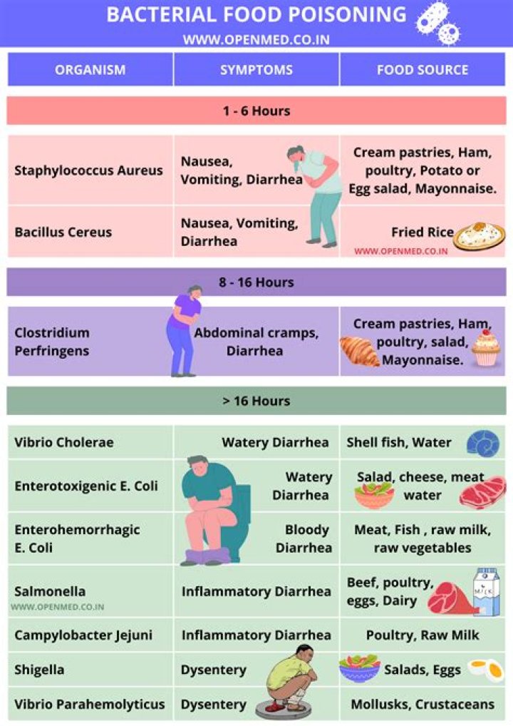 Which area of the body can Harbour most food poisoning bacteria?