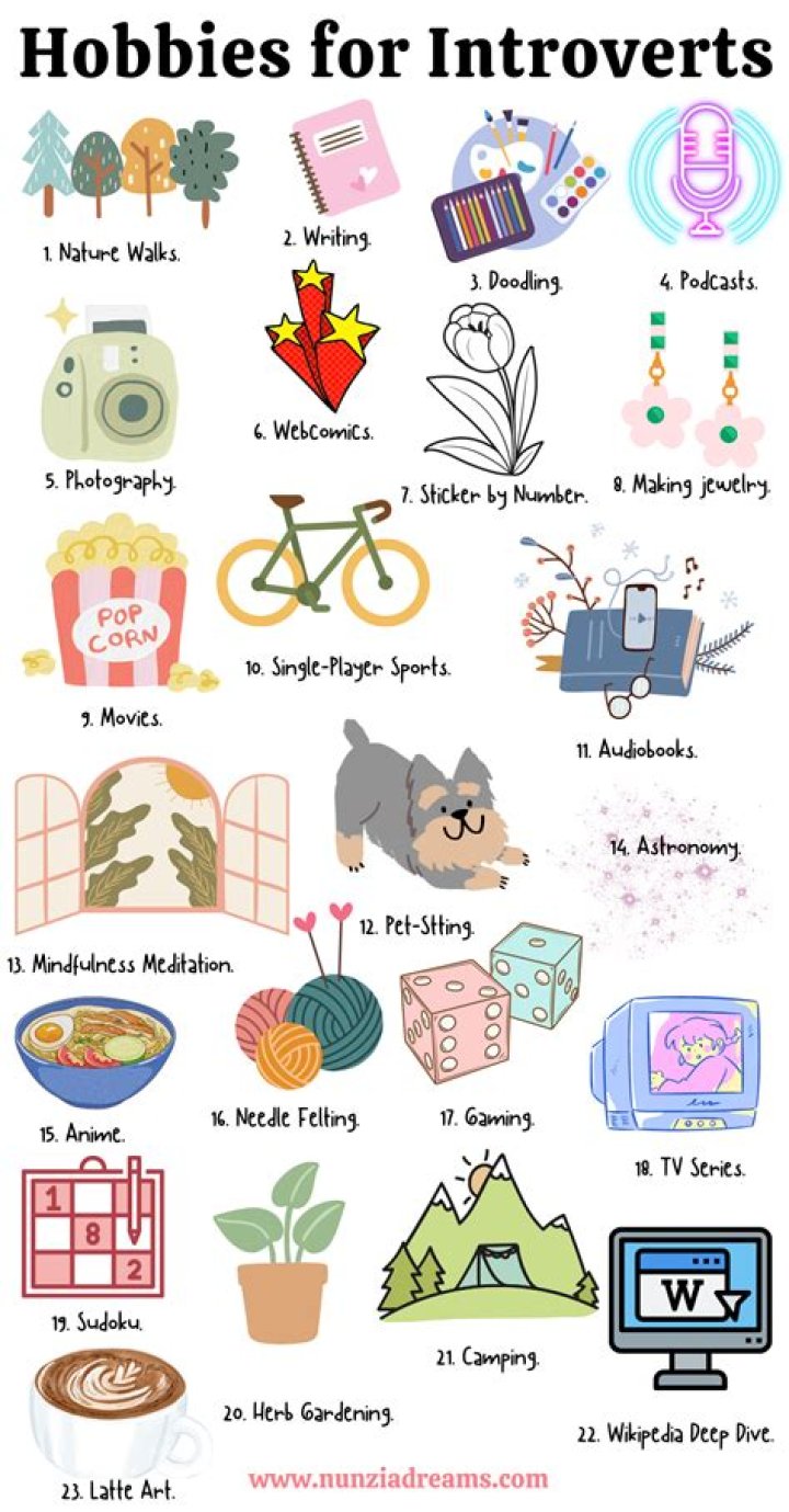 Which country is best for introverts?