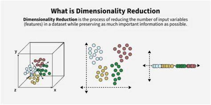 Which is a major goal of dimensionality reduction homogeneity?