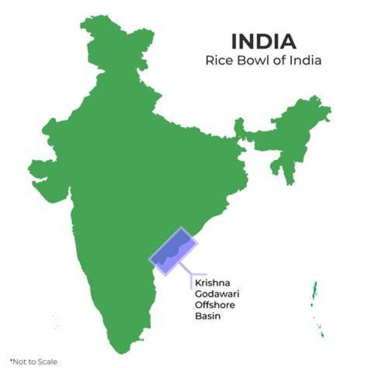 Which region is called the rice basket of the world?