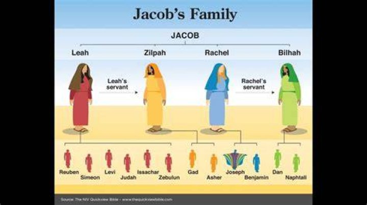 Who are the 4 wives of Jacob?