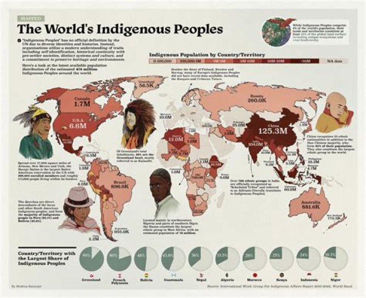 Who can identify as Indigenous?