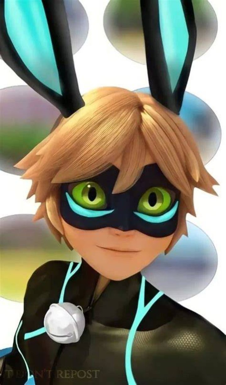 Who has the rabbit miraculous?