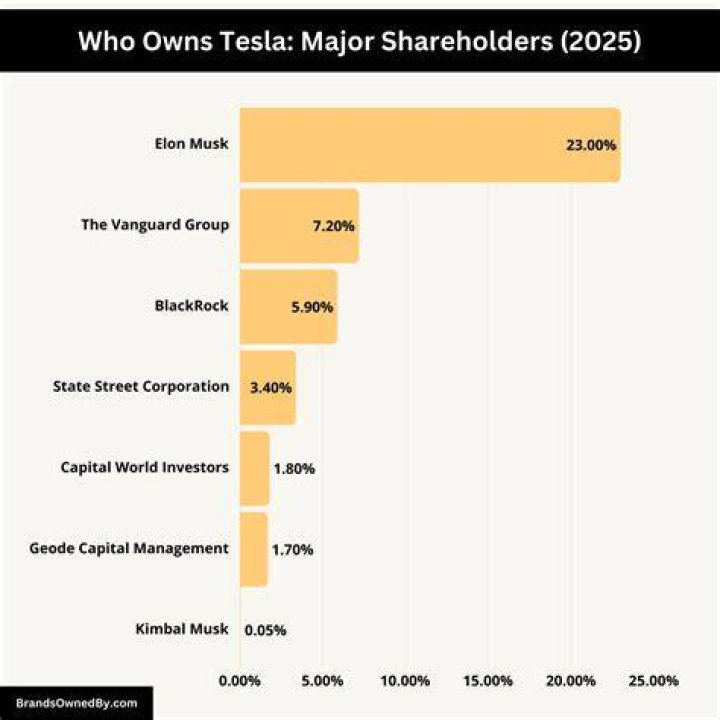 Who is Tesla owned by?