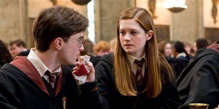 Why do adults love Harry Potter?