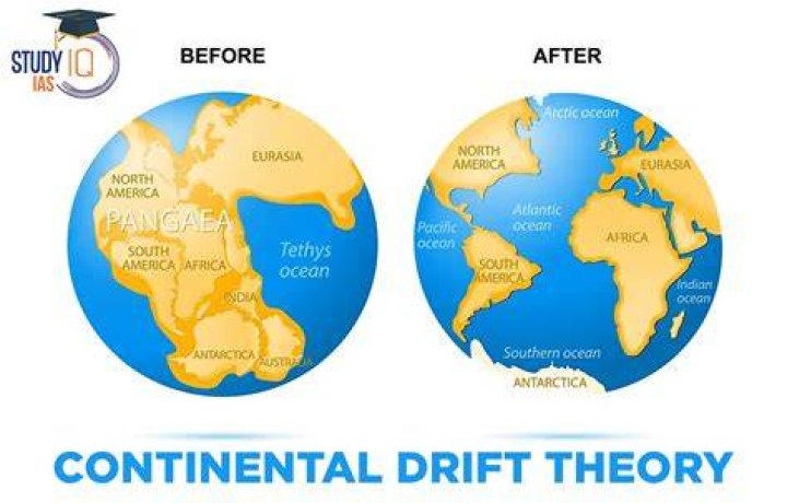Why do I drift to the left when I drive?