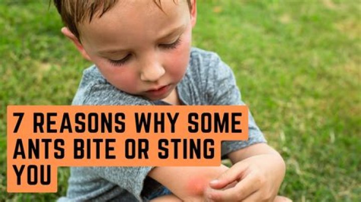 Why do incisions sting?