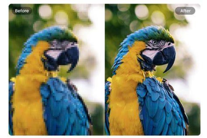 Why do my pictures lose quality?