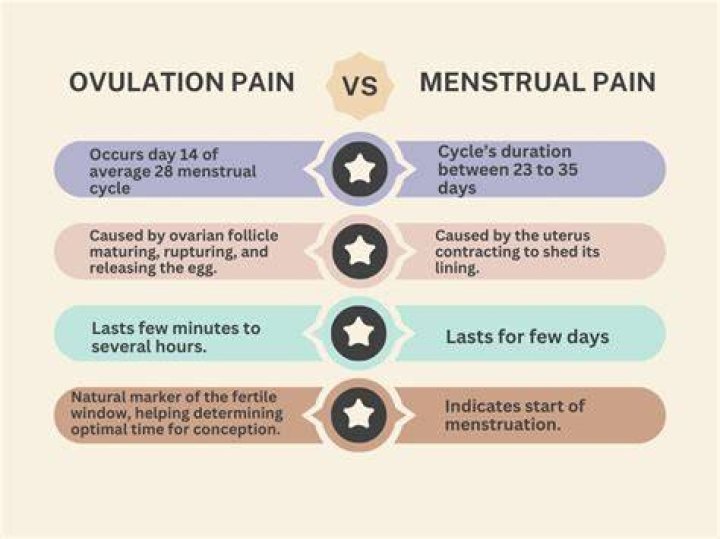 Why do ovaries hurt during period?