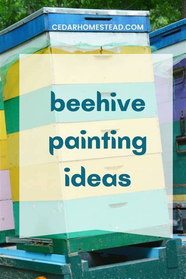 Why do people paint beehives?