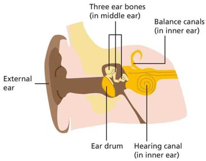 Why does the Master hear drumming?