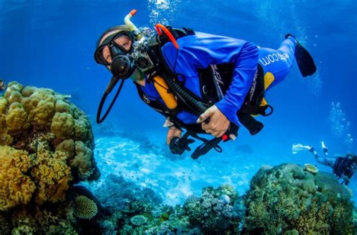 Why is diving so tiring?