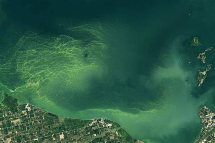 Why is Lake Erie toxic?