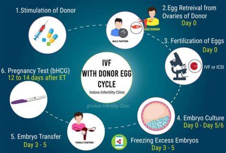 Will my baby have my DNA if I use a donor egg?
