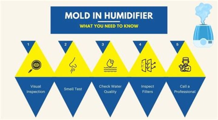 Will using a humidifier cause mold?